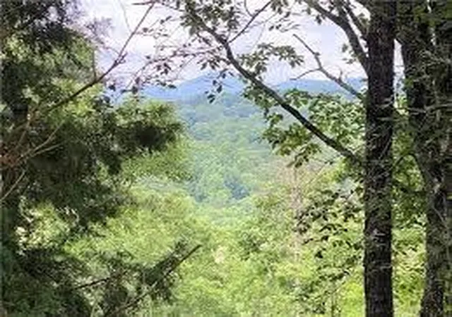 Photo 4 of Land for sale at 0 Blackhawk Pl, Jasper, GA 30143 | MLS# 7845202 | Listing updated on 2026-09-28