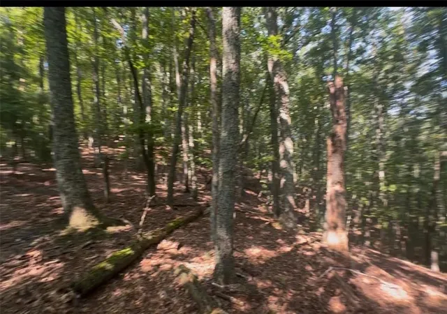 Land for sale at 0 Brooks Ridge Rd, Mineral Bluff, GA 30559 | MLS# 7835700