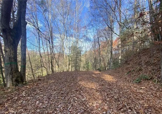 Photo 6 of Land for sale at 1 Barefoot Hills, Hiawassee, GA 30546 | MLS# 7831248 | Listing updated on 2026-09-14