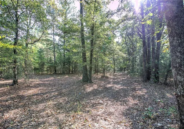 Photo 4 of Land for sale at 01 Cornelius, Cedartown, GA 30125 | MLS# 7835955 | Listing updated on 2026-09-22