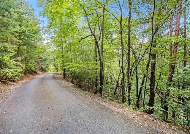 Photo 3 of Land for sale at 0 Woodland Ct, Ellijay, GA 30536 | MLS# 7832424 | Listing updated on 2026-09-11