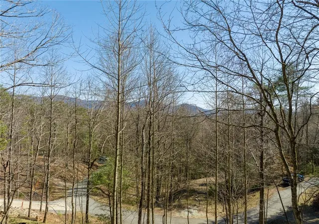 Land for sale at 0 Chicasaw Dr, Ellijay, GA 30540 | MLS# 7833837