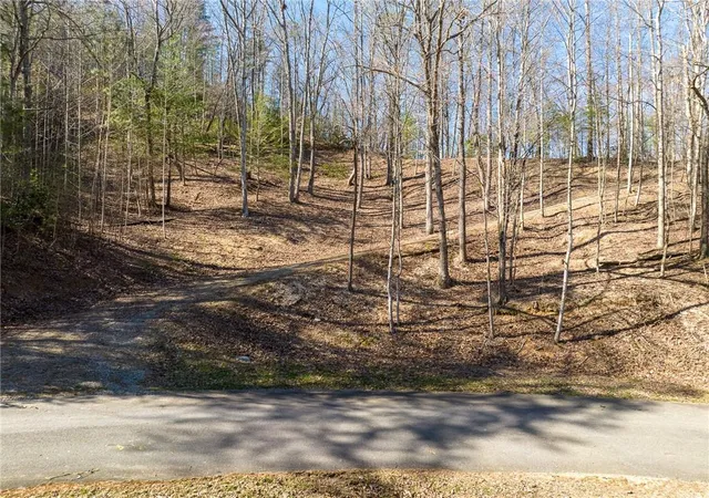 Photo 2 of Land for sale at 0 Chicasaw Dr, Ellijay, GA 30540 | MLS# 7833837 | Listing updated on 2026-09-08