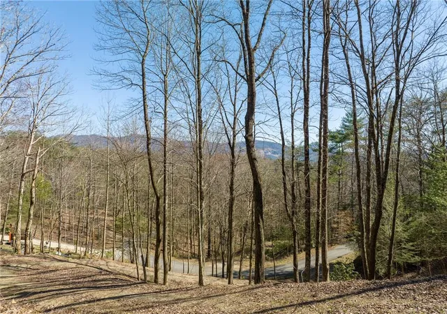 Photo 3 of Land for sale at 0 Chicasaw Dr, Ellijay, GA 30540 | MLS# 7833837 | Listing updated on 2026-09-08
