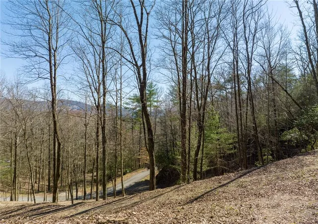 Photo 4 of Land for sale at 0 Chicasaw Dr, Ellijay, GA 30540 | MLS# 7833837 | Listing updated on 2026-09-08