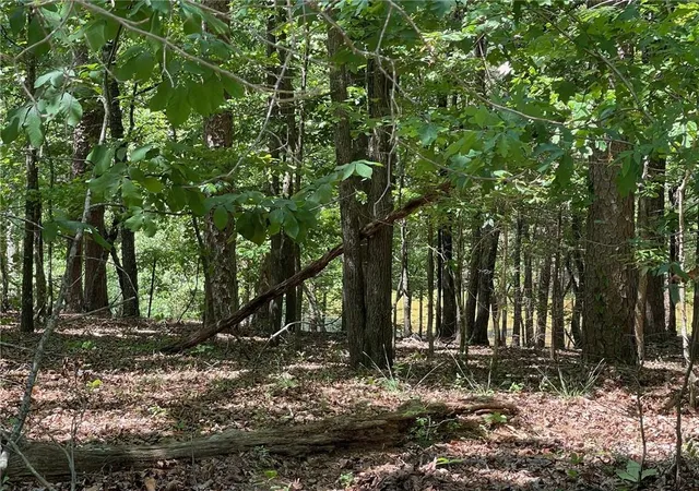 Photo 2 of Land for sale at Tr 2 Chalcrest Way, Cave Spring, GA 30124 | MLS# 7835028 | Listing updated on 2026-09-10