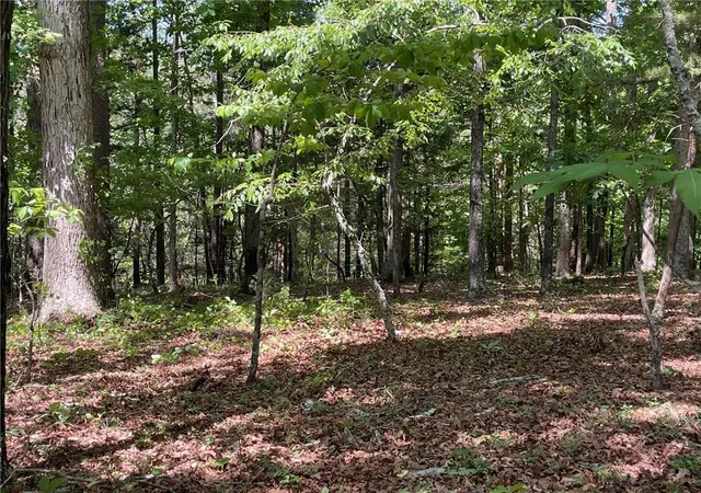 Photo 3 of Land for sale at Tr 2 Chalcrest Way, Cave Spring, GA 30124 | MLS# 7835028 | Listing updated on 2026-09-10