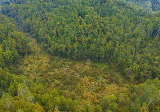 Photo 1 of Land for sale at 14-17 Conasauga Dr, Ellijay, GA 30540 | MLS# 7854569 | Listing updated on 2026-10-15