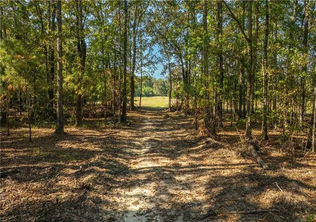 Photo 1 of Land for sale at 13 15 Livingston, Rome, GA 30161 | MLS# 7841677 | Listing updated on 2026-09-22