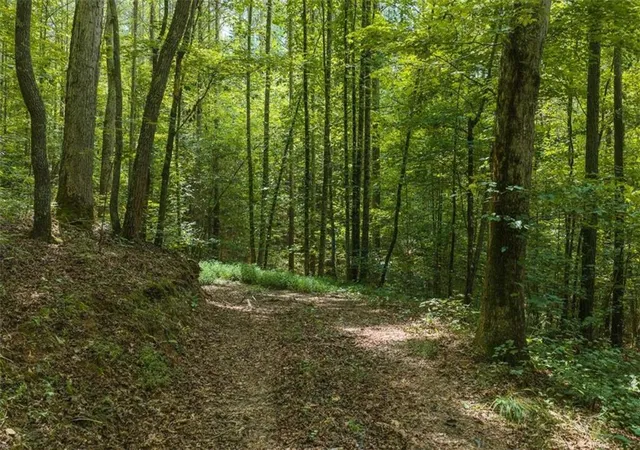 Photo 1 of Land for sale at 300 Sumac Ln, Ellijay, GA 30540 | MLS# 7844433 | Listing updated on 2026-10-26