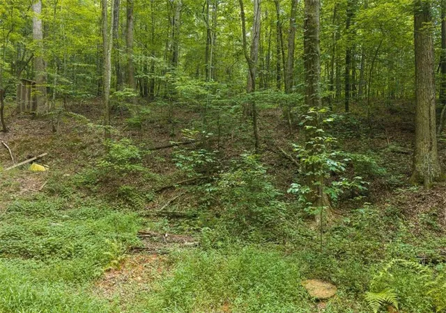 Photo 4 of Land for sale at 300 Sumac Ln, Ellijay, GA 30540 | MLS# 7844433 | Listing updated on 2026-10-26