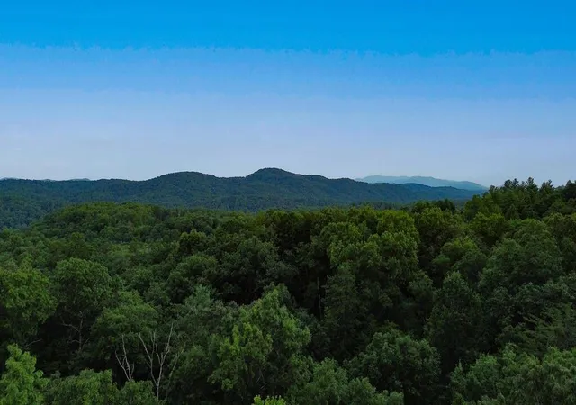 Land for sale at Lot 6 Allaire Ln, Mineral Bluff, GA 30559 | MLS# 7833955