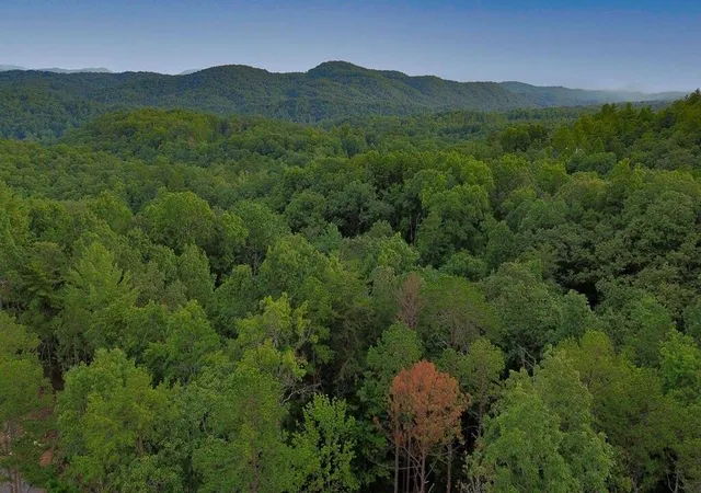 Photo 2 of Land for sale at Lot 6 Allaire Ln, Mineral Bluff, GA 30559 | MLS# 7833955 | Listing updated on 2026-09-08