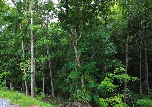 Photo 3 of Land for sale at Lot 6 Allaire Ln, Mineral Bluff, GA 30559 | MLS# 7833955 | Listing updated on 2026-09-08