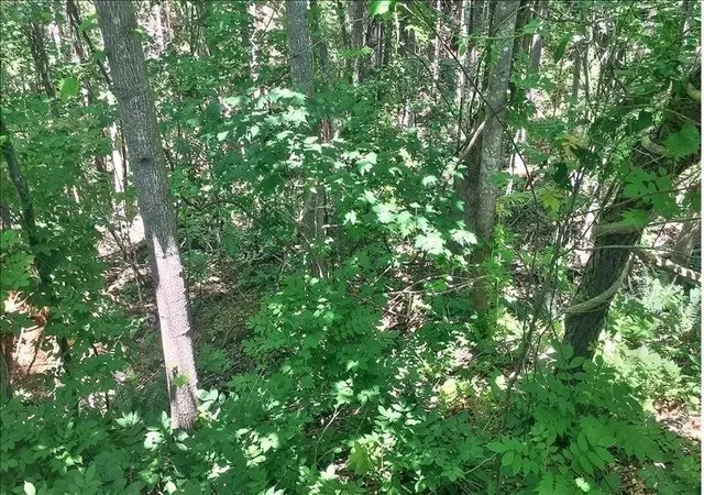 Photo 2 of Land for sale at Lot 10 Mill Crk Dr, Jasper, GA 30143 | MLS# 7844968 | Listing updated on 2026-09-26
