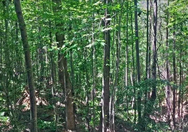 Photo 3 of Land for sale at Lot 10 Mill Crk Dr, Jasper, GA 30143 | MLS# 7844968 | Listing updated on 2026-09-26