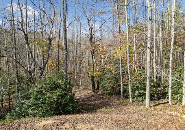 Photo 3 of Land for sale at Lt 7 Highpoint Ridge Rd, Ellijay, GA 30536 | MLS# 7848510 | Listing updated on 2026-10-03