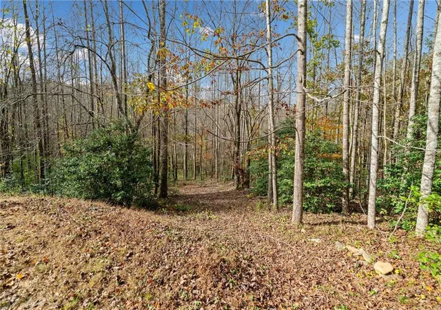 Photo 4 of Land for sale at Lt 7 Highpoint Ridge Rd, Ellijay, GA 30536 | MLS# 7848510 | Listing updated on 2026-10-03