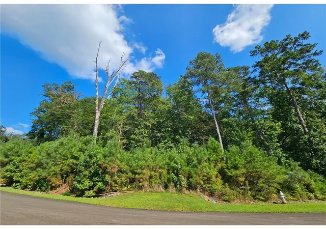 Photo 1 of Land for sale at 241 Carters View Ln, Ellijay, GA 30540 | MLS# 7831021 | Listing updated on 2026-09-04