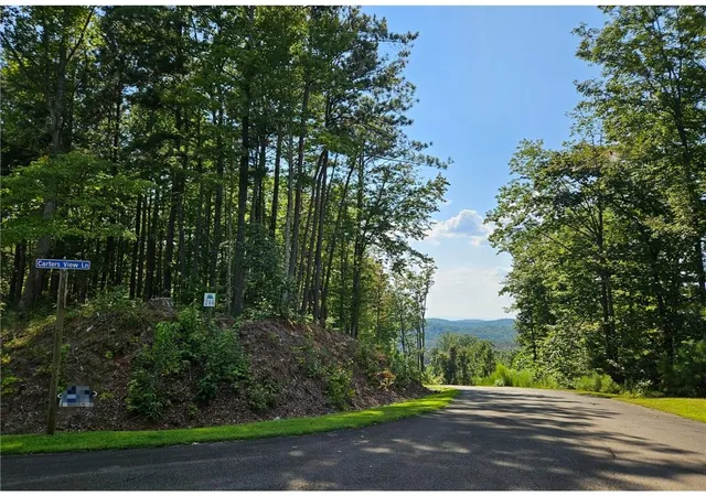 Photo 4 of Land for sale at 241 Carters View Ln, Ellijay, GA 30540 | MLS# 7831021 | Listing updated on 2026-09-04