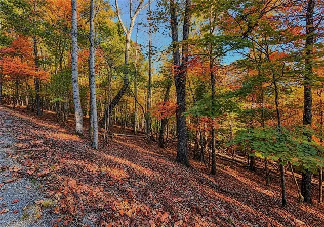 Photo 2 of Land for sale at Lot 31 Opal Ln, Ellijay, GA 30540 | MLS# 7859500 | Listing updated on 2026-10-27