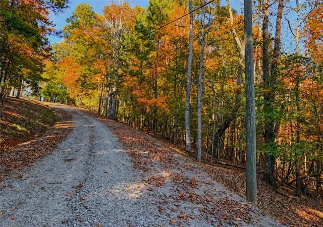 Photo 3 of Land for sale at Lot 31 Opal Ln, Ellijay, GA 30540 | MLS# 7859500 | Listing updated on 2026-10-27