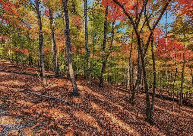 Photo 4 of Land for sale at Lot 31 Opal Ln, Ellijay, GA 30540 | MLS# 7859500 | Listing updated on 2026-10-27