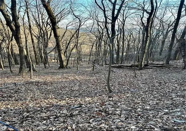 Photo 2 of Land for sale at 1649 Moss Patch Trl, Jasper, GA 30143 | MLS# 7830434 | Listing updated on 2026-09-18