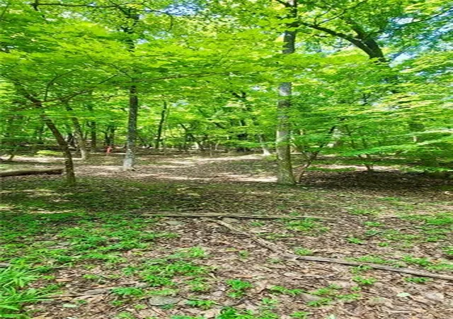 Photo 4 of Land for sale at 1649 Moss Patch Trl, Jasper, GA 30143 | MLS# 7830434 | Listing updated on 2026-09-18