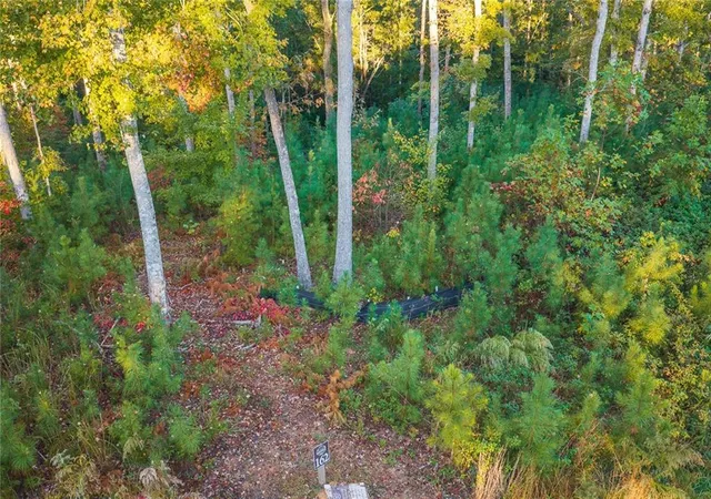 Photo 4 of Land for sale at 0 Lecroy Dr, Ellijay, GA 30540 | MLS# 7859890 | Listing updated on 2026-10-28