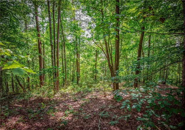 Photo 4 of Land for sale at Lt103r Mountain Crk Holw Dr, Talking Rock, GA 30175 | MLS# 7844447 | Listing updated on 2026-09-25