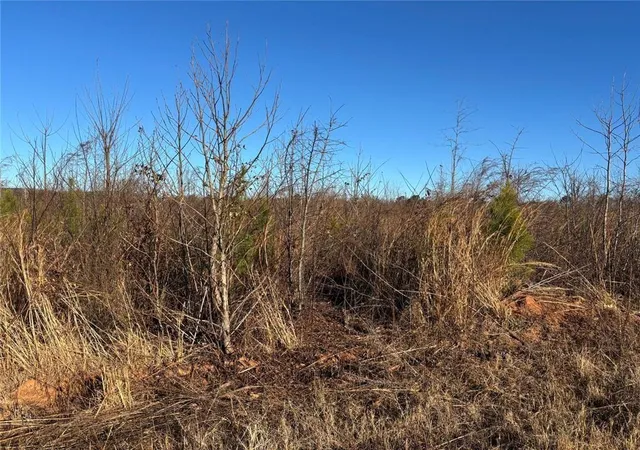 Photo 3 of Land for sale at 0 State Rte 83 Route, Monroe, GA 30655 | MLS# 7697814 | Listing updated on 2026-09-03