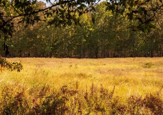 Photo 1 of Land for sale at Tracts Livingston Rd Sw, Rome, GA 30161 | MLS# 7841661 | Listing updated on 2026-09-23