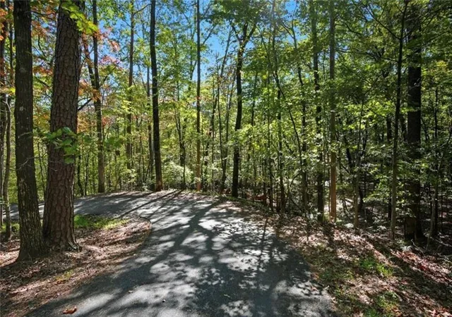 Photo 2 of Land for sale at 226 Wild Azalea, Jasper, GA 30143 | MLS# 7751629 | Listing updated on 2026-09-04
