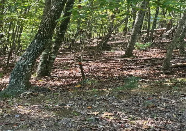 Photo 4 of Land for sale at 00 Miramar Dr, Ellijay, GA 30540 | MLS# 7828452 | Listing updated on 2026-09-11