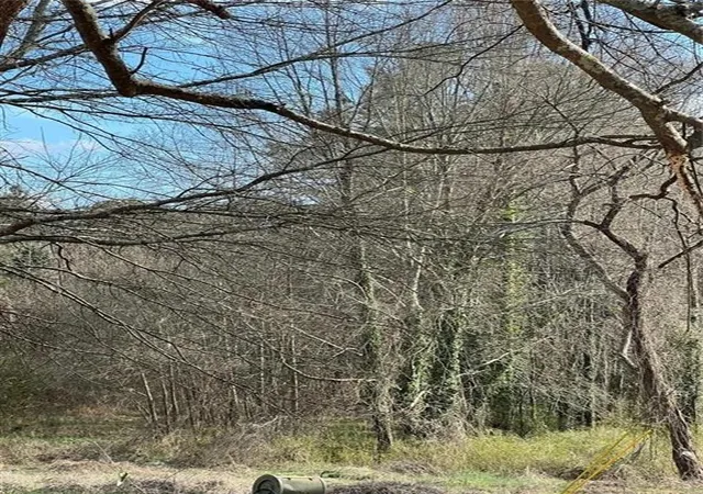 Photo 2 of Land for sale at 98 Pine Shadows Dr, Dallas, GA 30157 | MLS# 7839781 | Listing updated on 2026-09-21