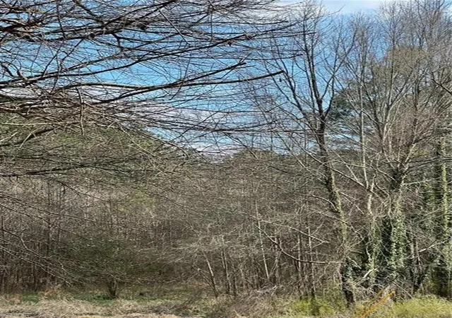 Photo 3 of Land for sale at 98 Pine Shadows Dr, Dallas, GA 30157 | MLS# 7839781 | Listing updated on 2026-09-21