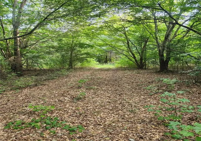 Photo 3 of Land for sale at 000 Highway 142, Newborn, GA 30047 | MLS# 7831377 | Listing updated on 2026-09-03