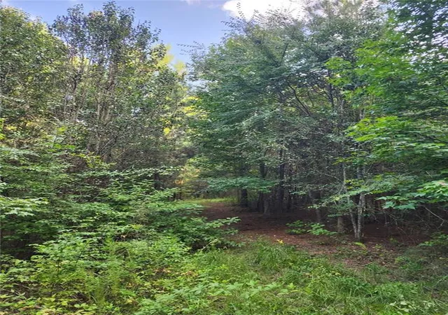 Photo 4 of Land for sale at 000 Highway 142, Newborn, GA 30047 | MLS# 7831377 | Listing updated on 2026-09-03