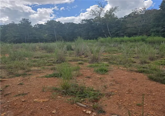 Land for sale at 888 Forrester Cemetery Rd, Covington, GA 30014 | MLS# 7834987