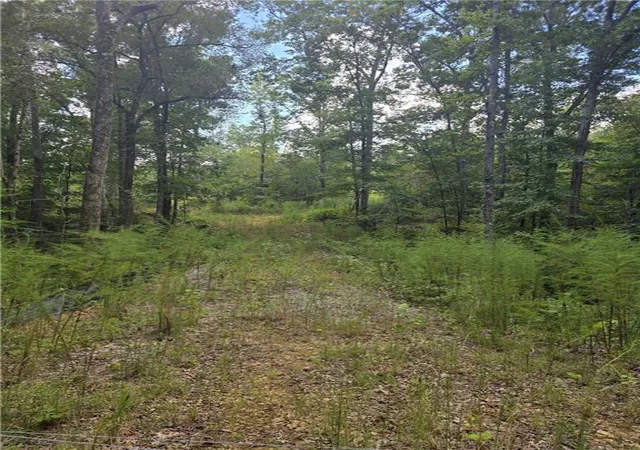 Photo 3 of Land for sale at 888 Forrester Cemetery Rd, Covington, GA 30014 | MLS# 7834987 | Listing updated on 2026-09-12