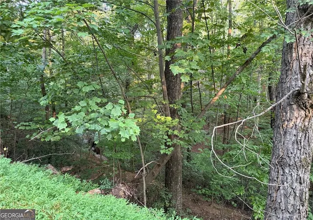 Photo 1 of Land for sale at 2333 Frd White Rd, Gainesville, GA 30506 | MLS# 7851734 | Listing updated on 2026-10-09