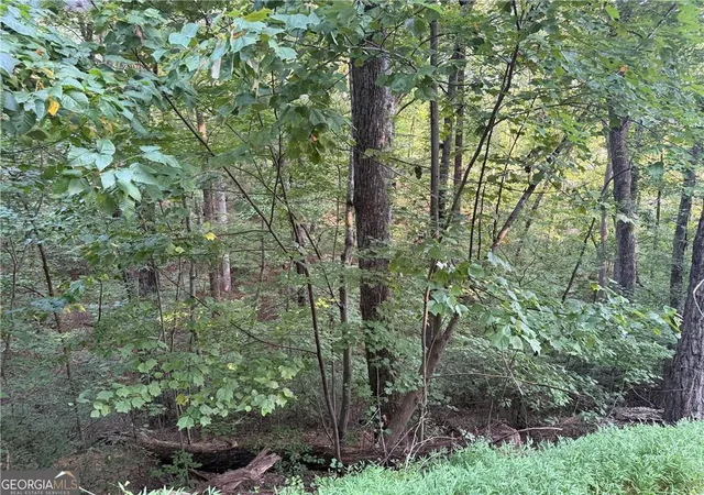 Photo 2 of Land for sale at 2333 Frd White Rd, Gainesville, GA 30506 | MLS# 7851734 | Listing updated on 2026-10-09