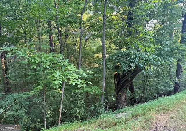 Photo 3 of Land for sale at 2333 Frd White Rd, Gainesville, GA 30506 | MLS# 7851734 | Listing updated on 2026-10-09