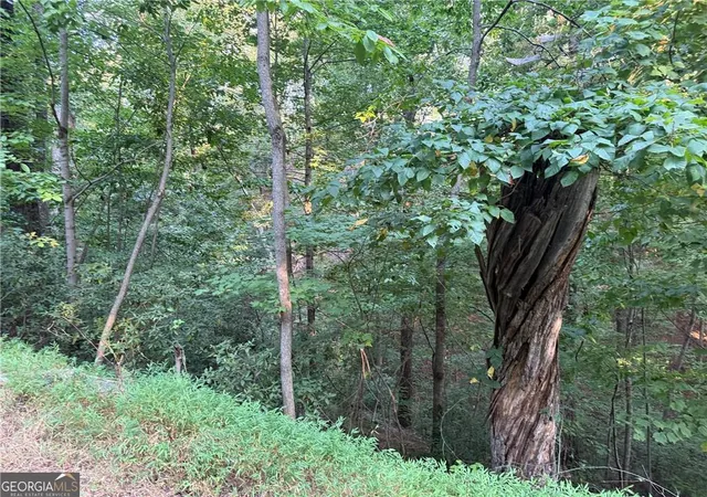 Photo 4 of Land for sale at 2333 Frd White Rd, Gainesville, GA 30506 | MLS# 7851734 | Listing updated on 2026-10-09