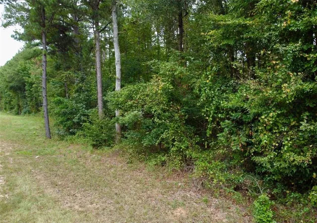 Photo 4 of Land for sale at 375 Highway 212, Covington, GA 30016 | MLS# 7844757 | Listing updated on 2026-09-26