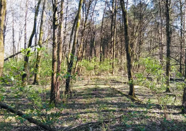 Photo 4 of Land for sale at 1517 Ninety Seven Springs Rd NE, Dalton, GA 30721 | MLS# 7831891 | Listing updated on 2026-09-05
