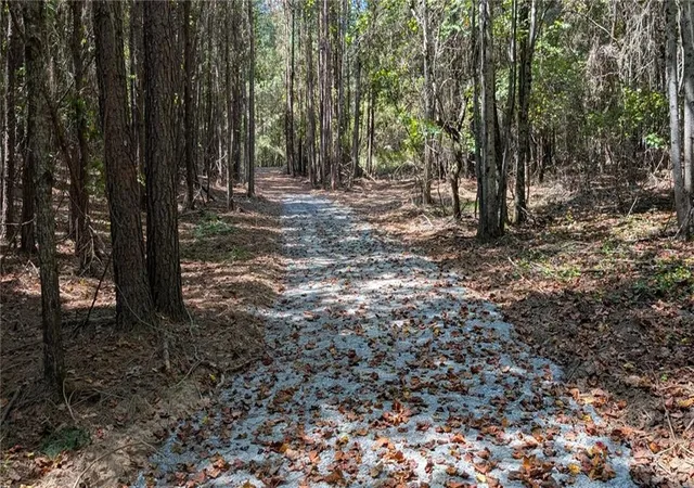 Photo 3 of Land for sale at 1124 Soap Crk Rd, Ball Ground, GA 30107 | MLS# 7840949 | Listing updated on 2026-09-25