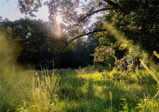 Photo 38 of Land for sale at Lot A Porter Springs Rd, Dahlonega, GA 30533 | MLS# 7816971 | Listing updated on 2026-09-14