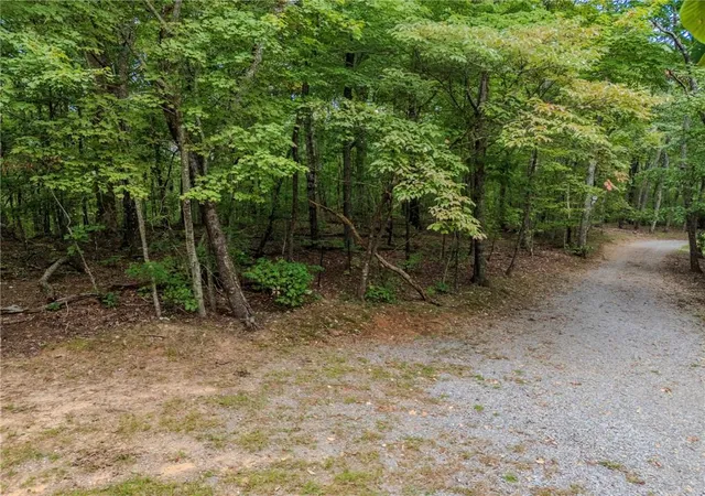 Photo 1 of Sale Pending at 0 Clearview Dr, Jasper, GA 30143 | MLS# 7839936 | Listing updated on 2026-10-09